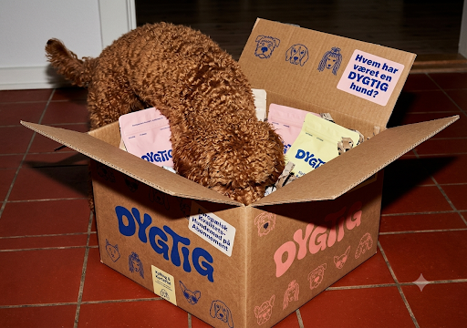 Labradoodle-hvalp snuser i en åben Dygtig-kasse med foderposer